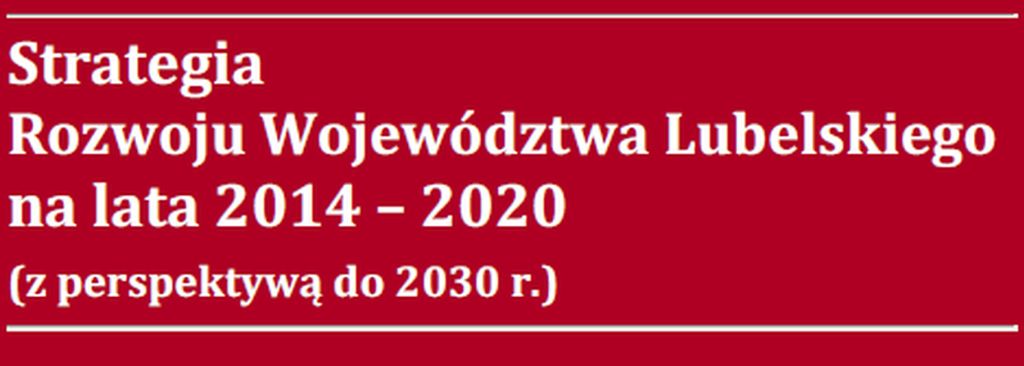 Ankieta dla uczestników debaty publicznej prowadzonej w ramach procesu aktualizacji Strategii Rozwoju Województwa Lubelskiego na lata 2014-2020 (w perspektywie do roku 2030)