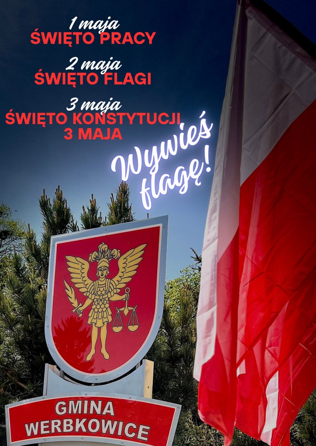Bądź dumny, wywieś flagę